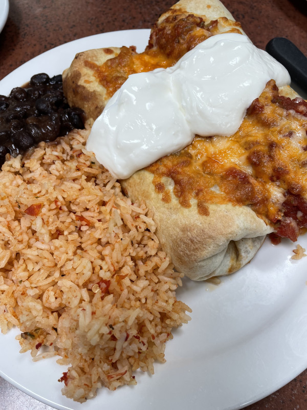 Enchilada and Burrito Combo